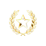 11. Special Recognition Awards category logo