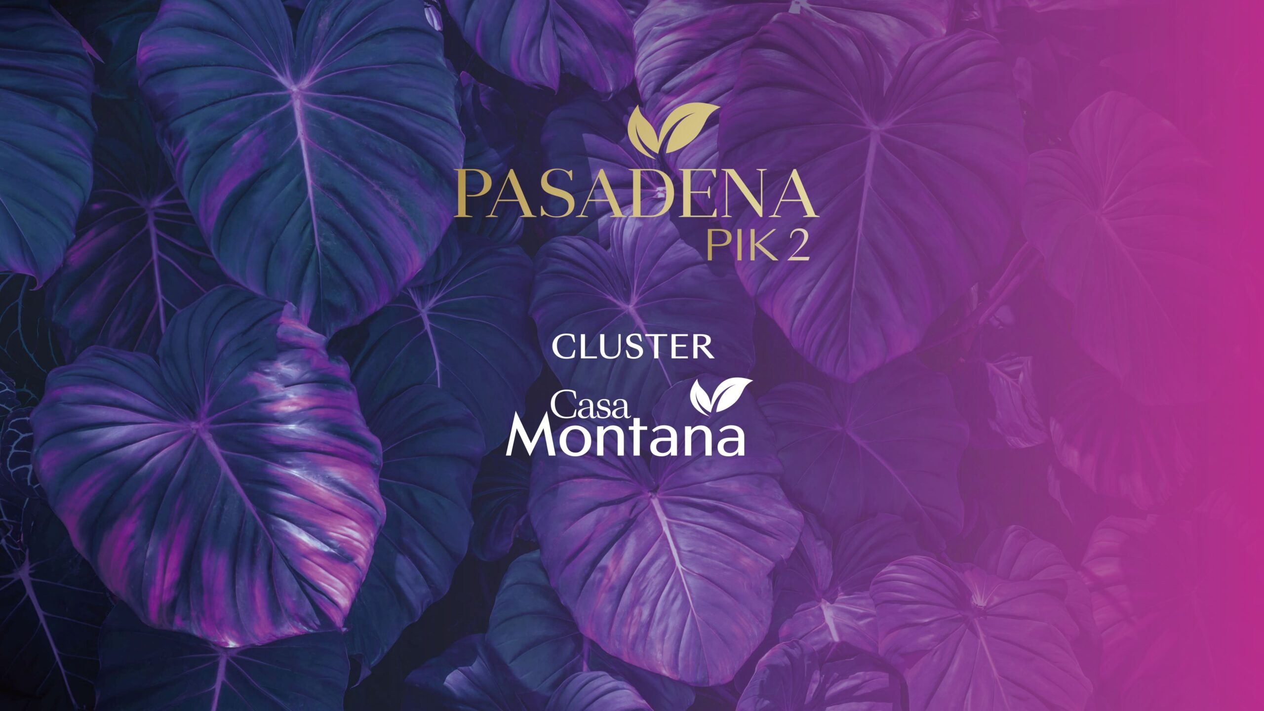 Casa Pasadena Cluster Casa Montana PIK 2