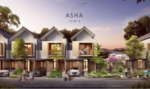 Asha Deluxe